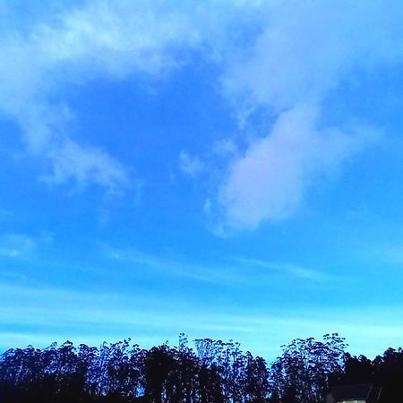 Moonplain Bungalows Nuwara Eliya Exteriör bild